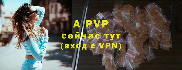 сатива Новодвинск