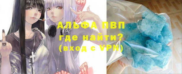 ГАЛЛЮЦИНОГЕННЫЕ ГРИБЫ Новозыбков