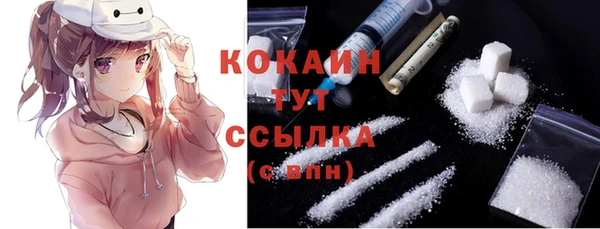 ГАЛЛЮЦИНОГЕННЫЕ ГРИБЫ Новозыбков