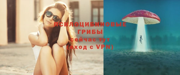 шишки Нефтекумск