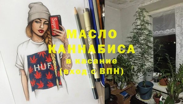 сатива Новодвинск