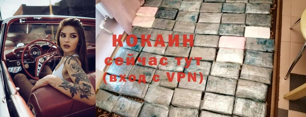 сатива Новодвинск
