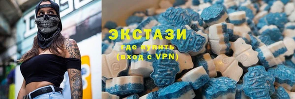 сатива Новодвинск