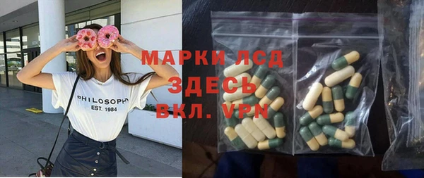 ГАЛЛЮЦИНОГЕННЫЕ ГРИБЫ Новозыбков