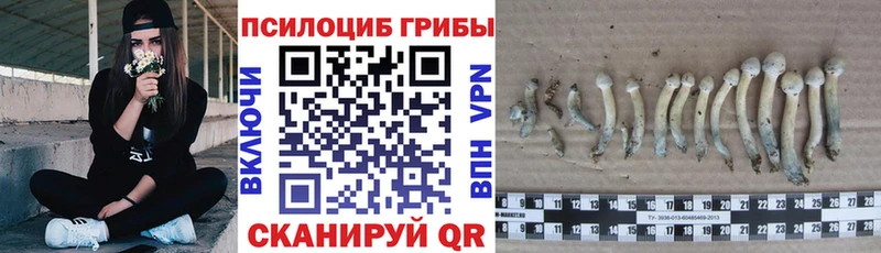 Галлюциногенные грибы Magic Shrooms  Купить закладки  Кумертау 