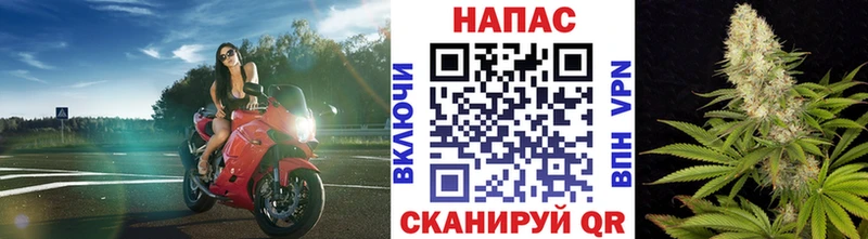 Купить где  Кумертау  Каннабис VHQ 